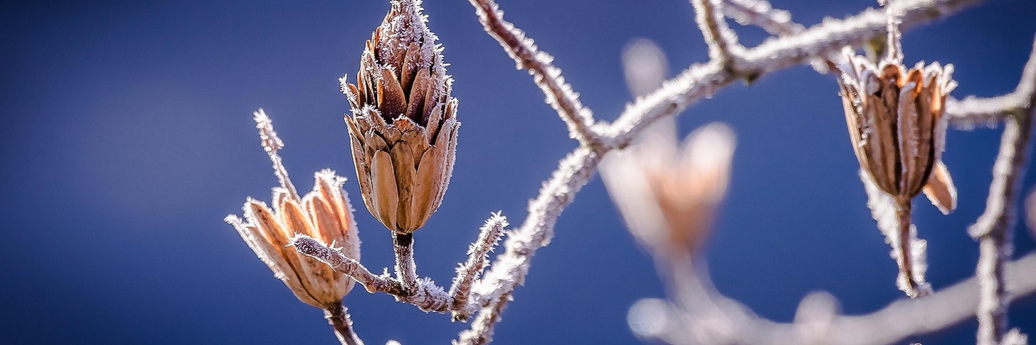 News und Inspiration für den Winter aus Österreich